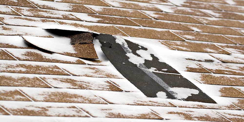 Palmetto Roofing Specialties storm damage repair expert
