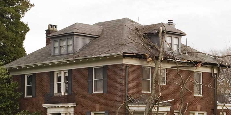 Palmetto Roofing Specialties - storm damage repair