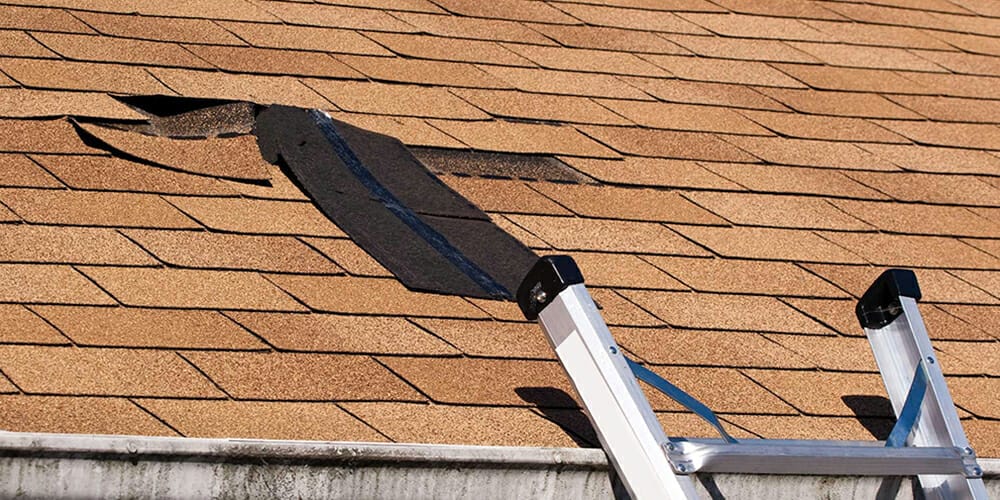 Palmetto Roofing Specialties - tracking down roof leak