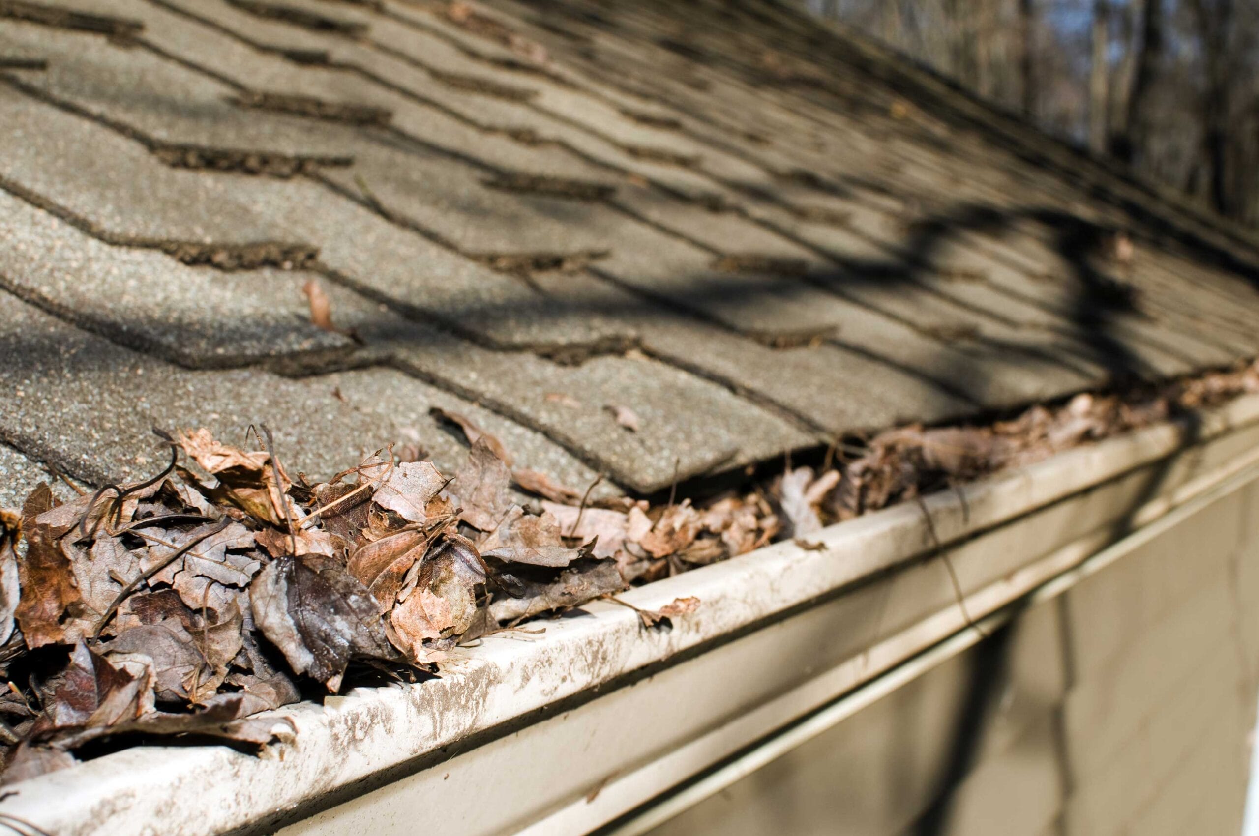 winter roof damage, winter roof maintenance